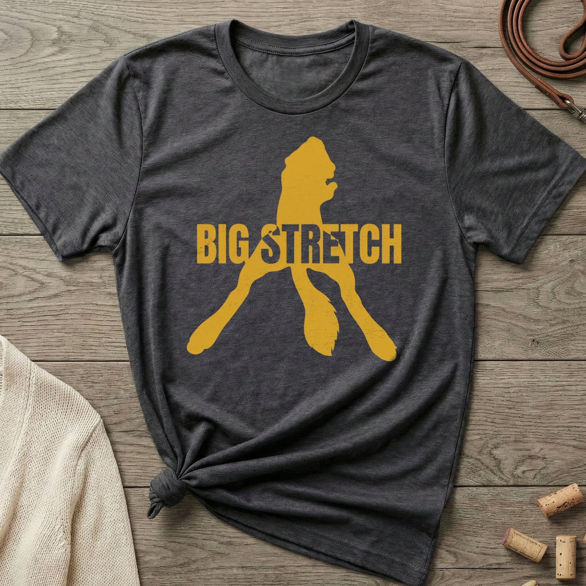 Big Stretch - The Nose Knows